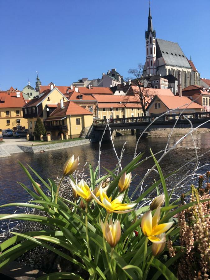 Pension Wok Český Krumlov Exteriör bild